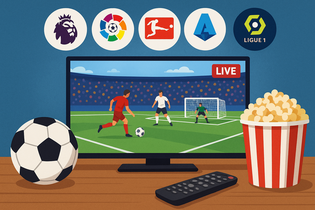 足球即时比分球探网Logo